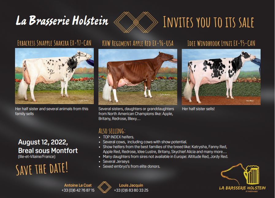 Save the date La Brasserie Holstein Sale August 12, 2022